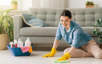 clean the inside of your house or apartment
