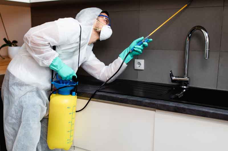 10 Most important questions to discuss with a pest control company