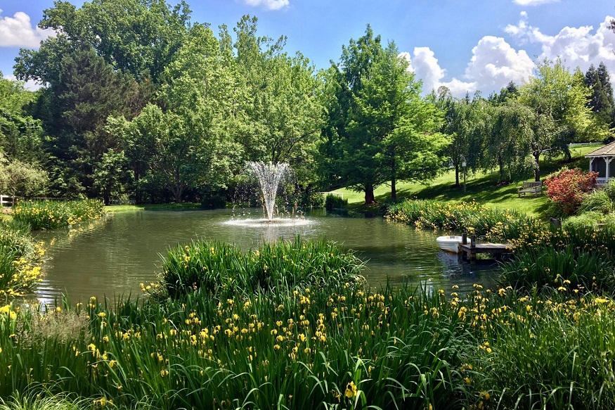 The Pond Guy’s Guide to Aquatic Design