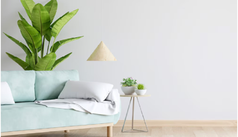 St Petersburg furniture stores